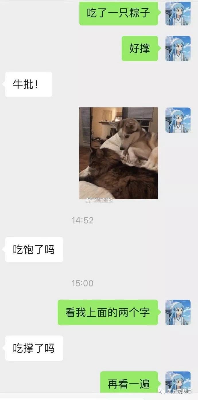 敷衍的对象们