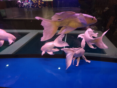 等一切好起来了我们就见面叭