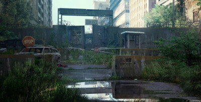 气氛图｜The last of us