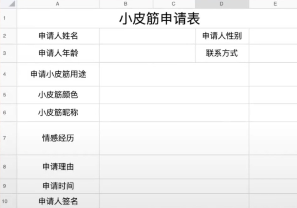小皮筋申请表