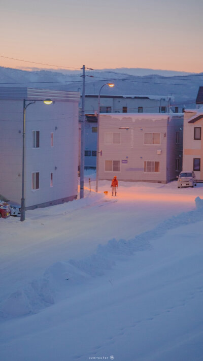 「雪❄️.北海道」 ​
摄影：@overwater