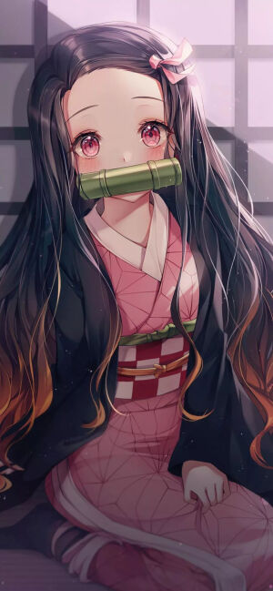 鬼灭之刃   祢豆子