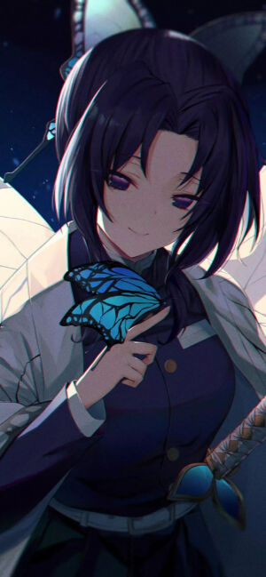 鬼灭之刃  蝴蝶忍