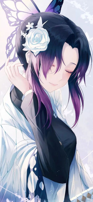 鬼灭之刃  蝴蝶忍