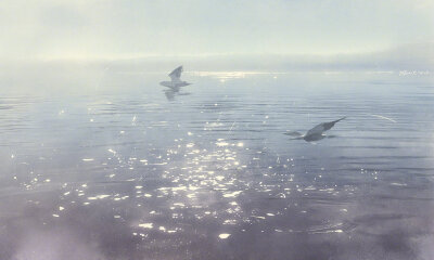 来自伊吹鸡腿子。古风图片。怨怨搬运。