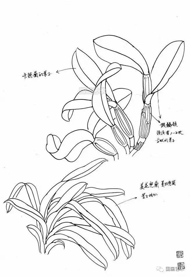 扇面白描