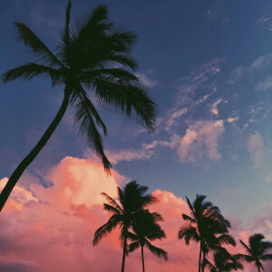 皮蛋｜