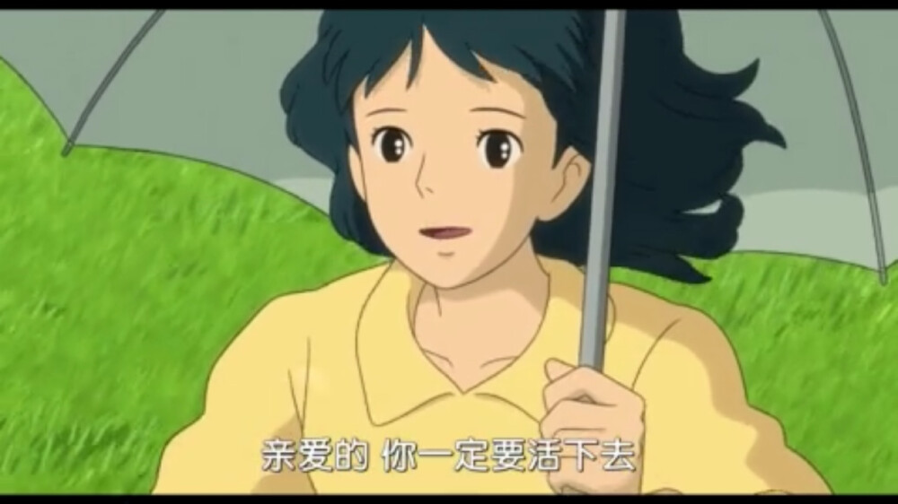 《起风了》（英语：THE WIND RISES）是导演兼脚本的宫崎骏以同名漫画所改编的动画电影。该片于2013年7月20日在日本上映。
该片讲述的是日本零式战斗机的开发者堀越二郎年轻时的故事。宫崎的作品，大多洋溢着像出现乘着扫帚在天空飞、鱼子从海边而来这样的幻想元素。但这次在影片中，没有不可思议的魔法，也不会出现怪物，堀越二郎是第二次世界大战中设计零战的实际存在的人物。