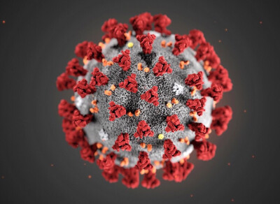 美国疾病管制与预防中心（CDC）公布一张「2019-nCoV」冠状病毒的结构模拟图