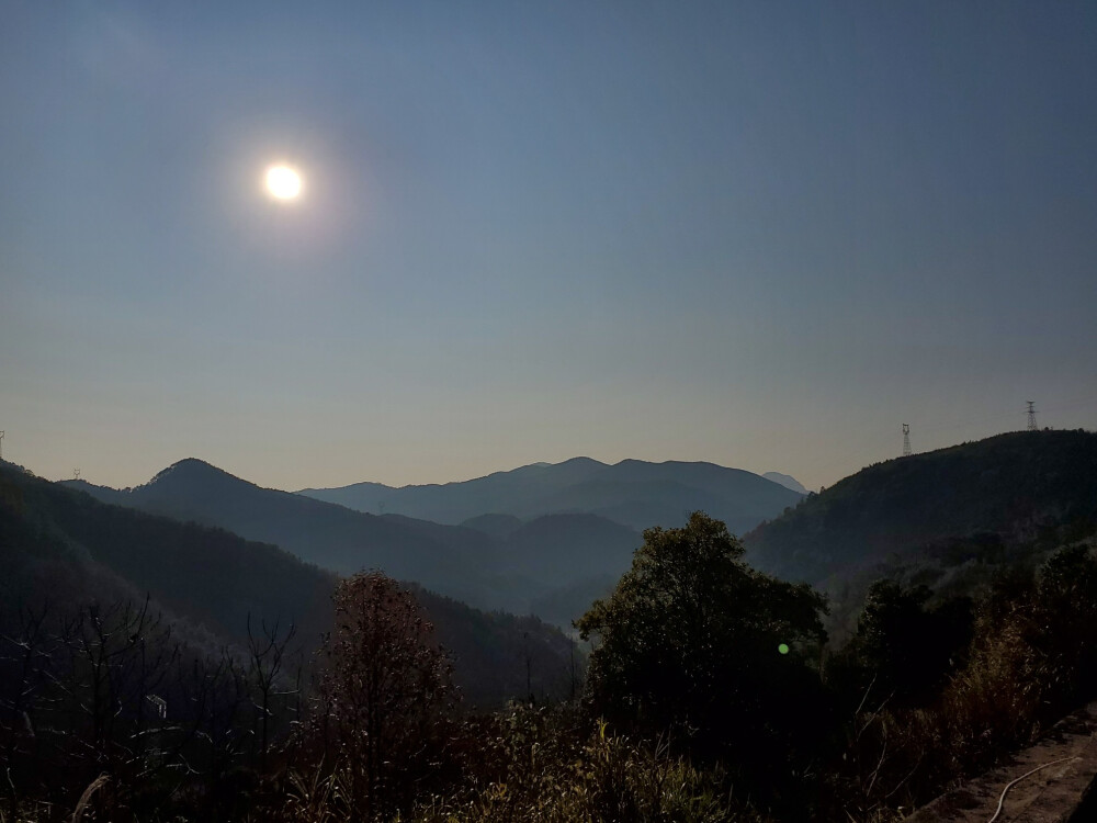 淘金山