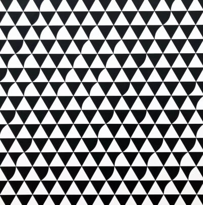 布里奇特·赖利《Fleeting Gaze 1》（部分），布面丙烯，186.8×286.4cm，2015年 © Bridget Riley 2019. All rights reserved.