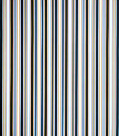 布里奇特·赖利《Cantus Firmus》，布面丙烯，241.3×215.9cm，1972-1973年 © Bridget Riley 2019. All rights reserved.