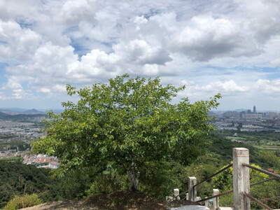 是你路过的风景