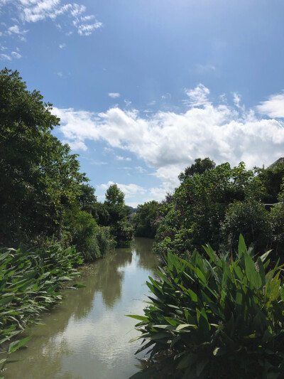 是你路过的风景