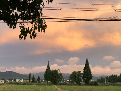 是你路过的风景