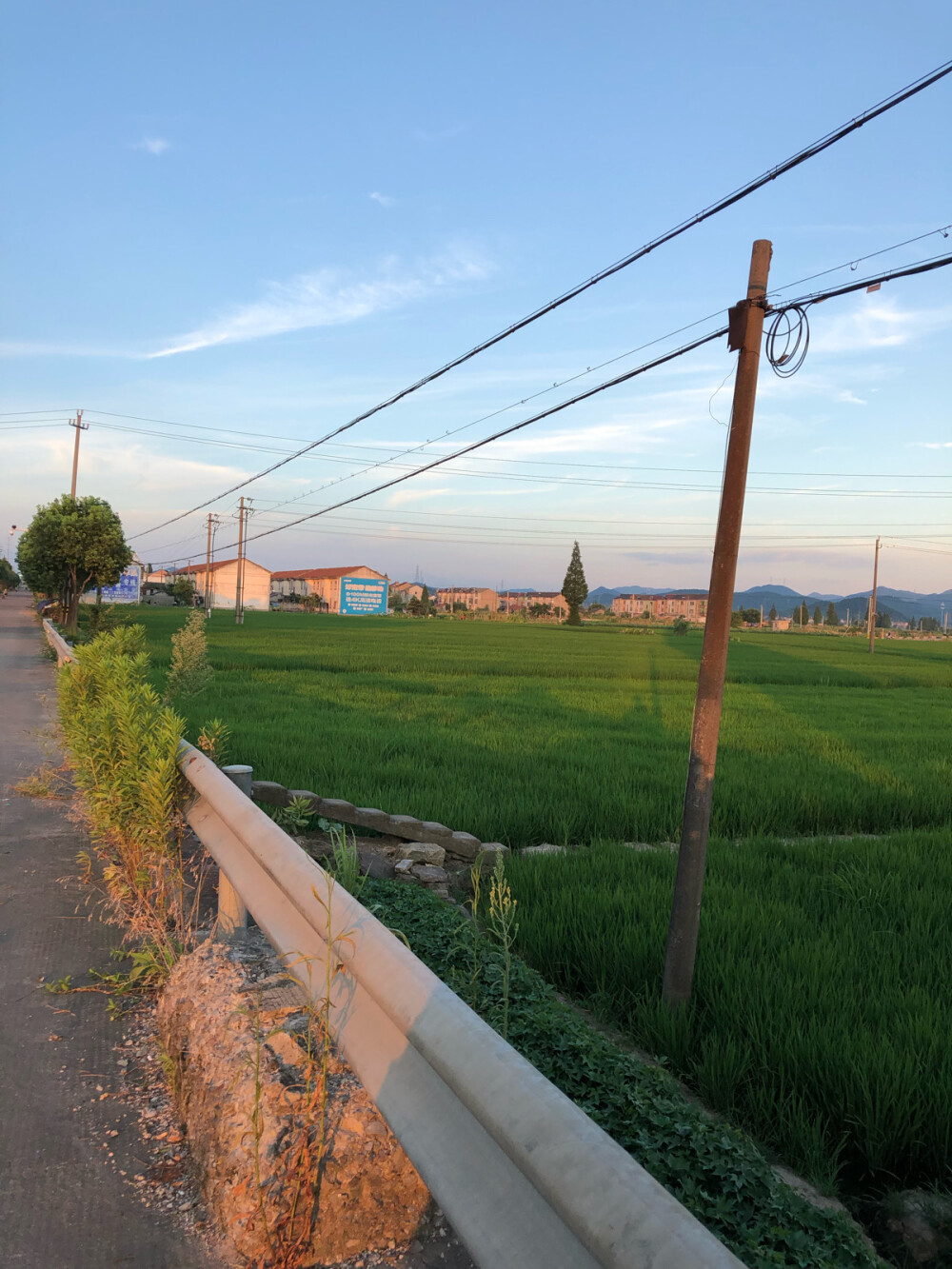 是你路过的风景
