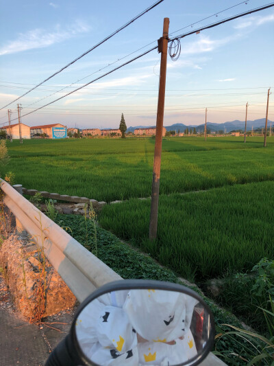 是你路过的风景
