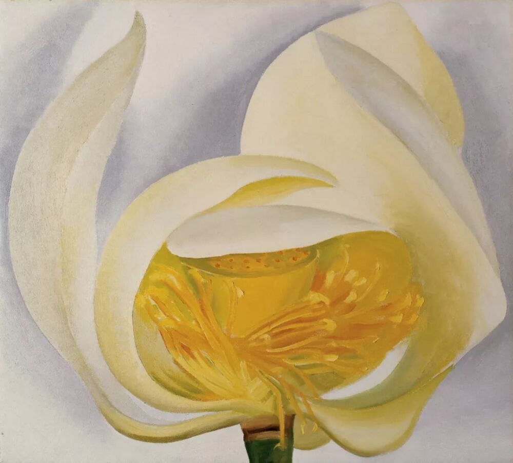 乔治亚·欧姬芙《White Lotus》，布面油画，1939年