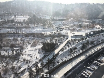 青岛19年的雪