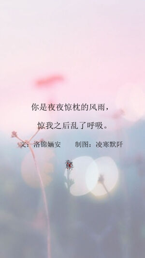 倘若我的故事从未有你，今夜的酒该乏味到何种境地。
