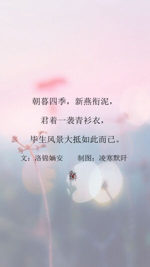 倘若我的故事从未有你，今夜的酒该乏味到何种境地。