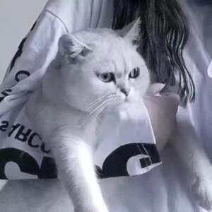 记录自用 来源各处。