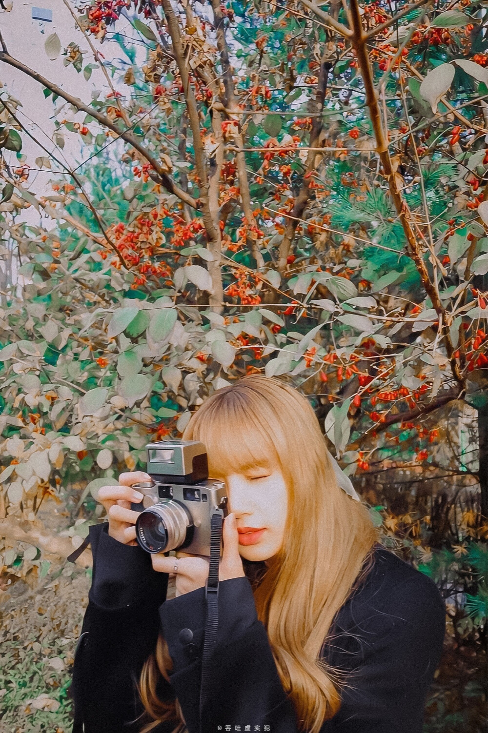 Lisa