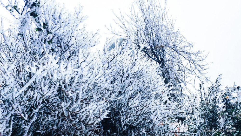 家乡的雪景，超级喜欢