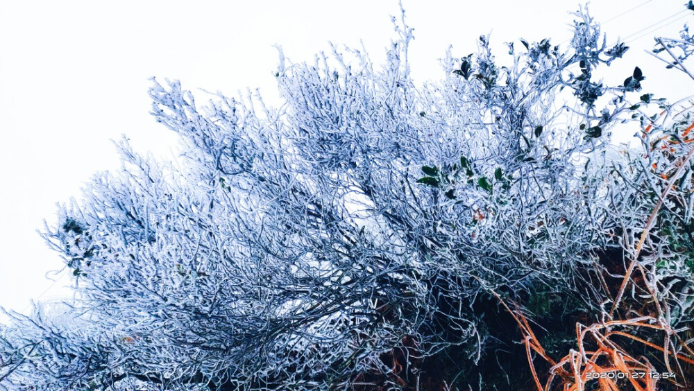 家乡的雪景，超级喜欢