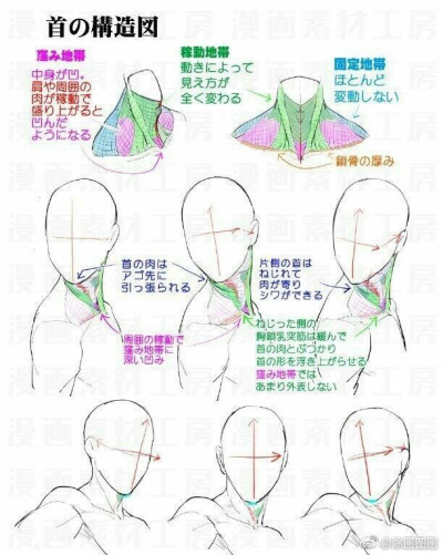 动态