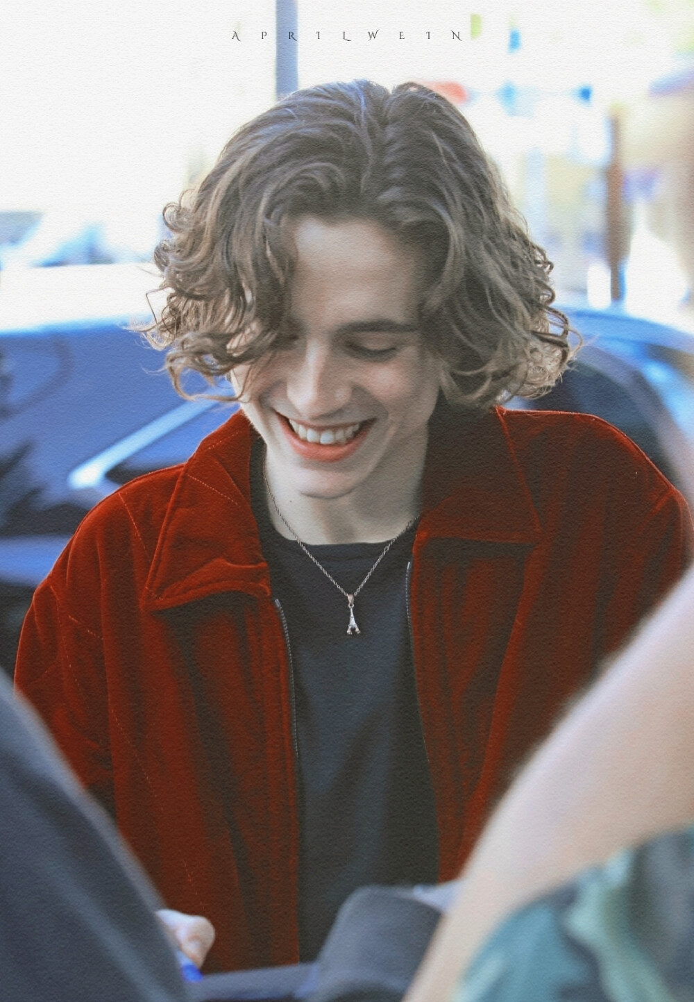 Timothée Chalamet 甜茶