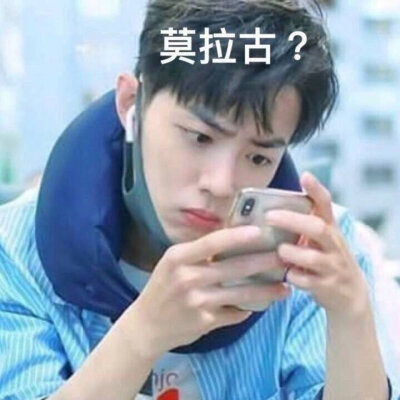 肖战 表情包