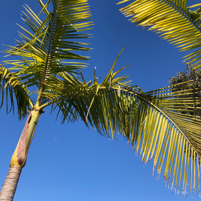 America⛱
自摄#美国风情
聊天背景 ins风
苹果原相