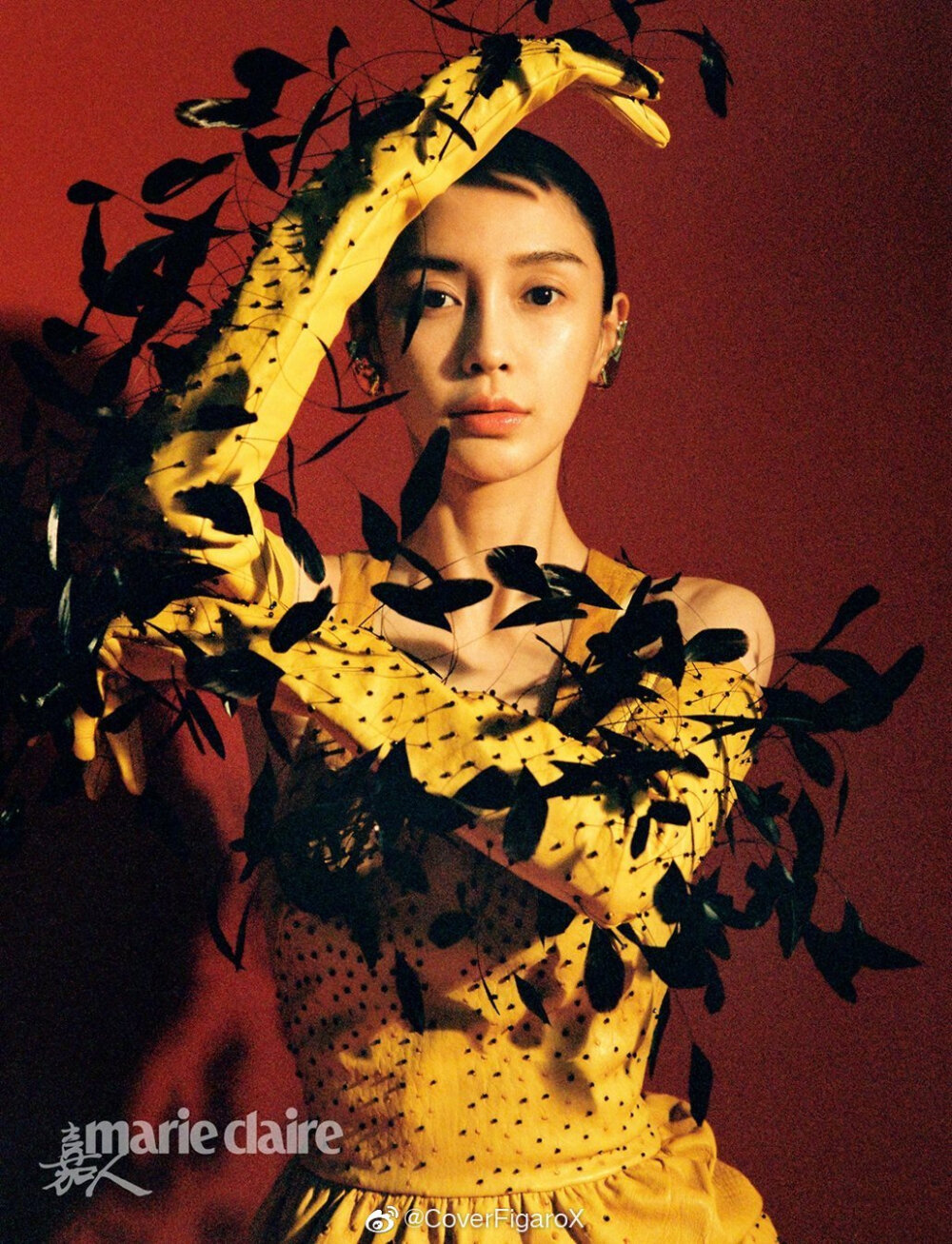 杨颖（Angelababy），1989年2月28日出生于上海市，华语影视女演员、时尚模特。2003年，Angelababy以模特身份在香港出道。2007年，她开始将工作重心转向大银幕。2011年在爱情片《夏日乐悠悠》中首次担任女主角。2012年凭借言情片《第一次》获得第13届华语电影传媒大奖最受瞩目女演员奖。2014年凭借真人秀《奔跑吧兄弟》赢得广泛关注；同年，她还因出演古装片《狄仁杰之神都龙王》获得第21届北京大学生电影节最受欢迎女演员奖。2015年，其主演的冒险片《鬼吹灯之寻龙诀》票房突破16亿人民币，而她也凭借该片获得第33届大众电影百花奖最佳女配角奖。2017年其主演的古装剧《孤芳不自赏》取得全国同时段电视剧收视冠军。创业时代。