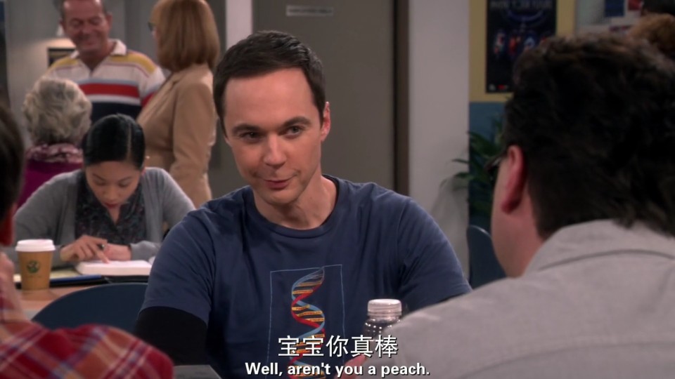 生活大爆炸
The Big Bang Theory