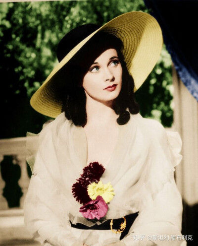 费雯·丽（原名：费雯·玛丽·哈特利，Vivien Leigh，1913年11月5日-1967年7月7日），生于印度孟加拉邦大吉岭，毕业于英国皇家戏剧艺术学院，英国电影、舞台剧女演员。 1938年，前往好莱坞便一鸣惊人，成功饰演《乱世佳…