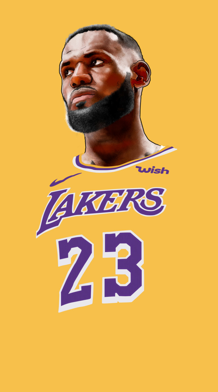 LBJ in lakers