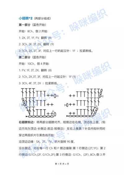 鳞翅目天堂凤蝶/6