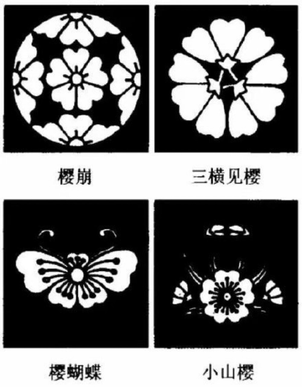 日本家纹——樱花纹