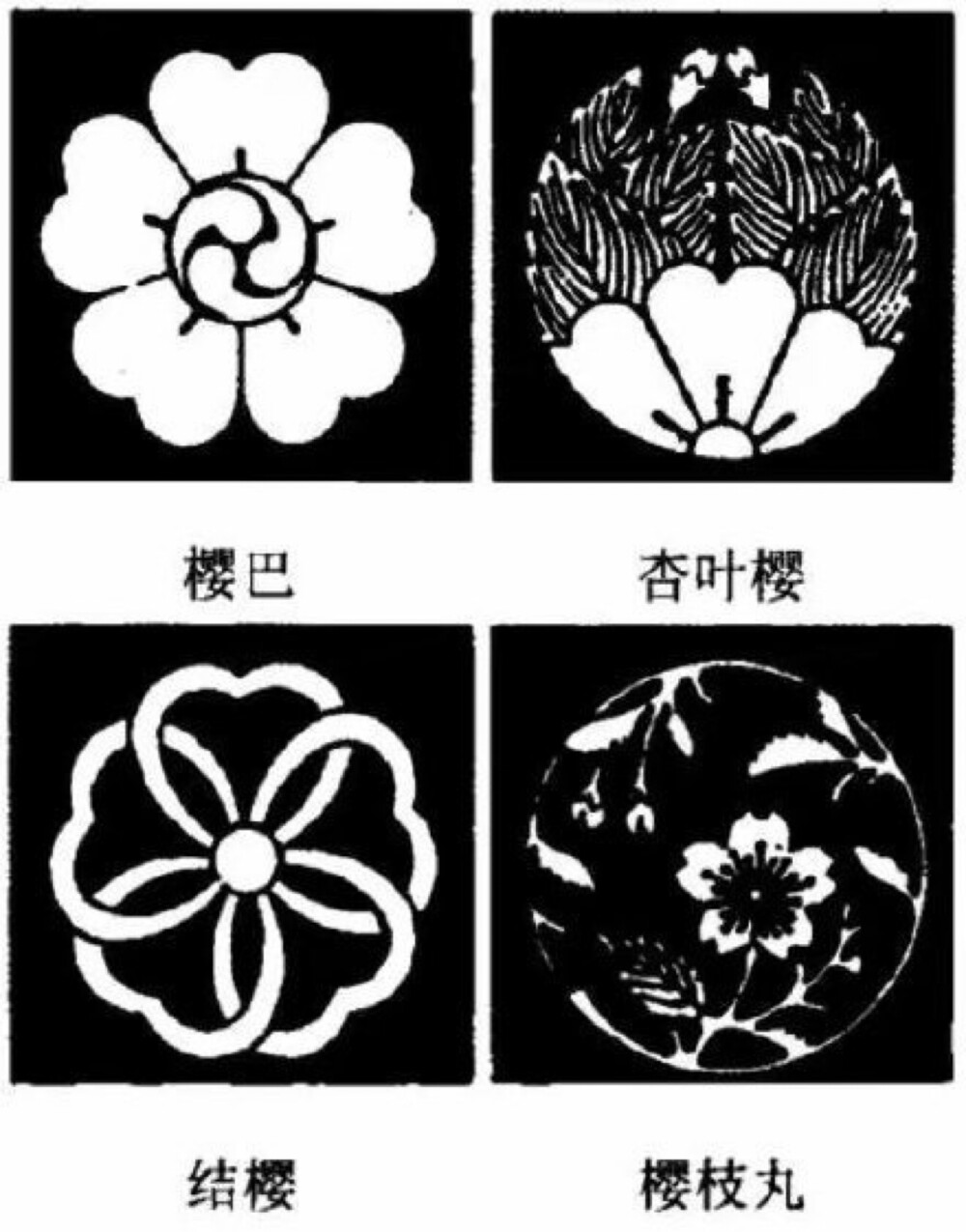 日本家纹——樱花纹