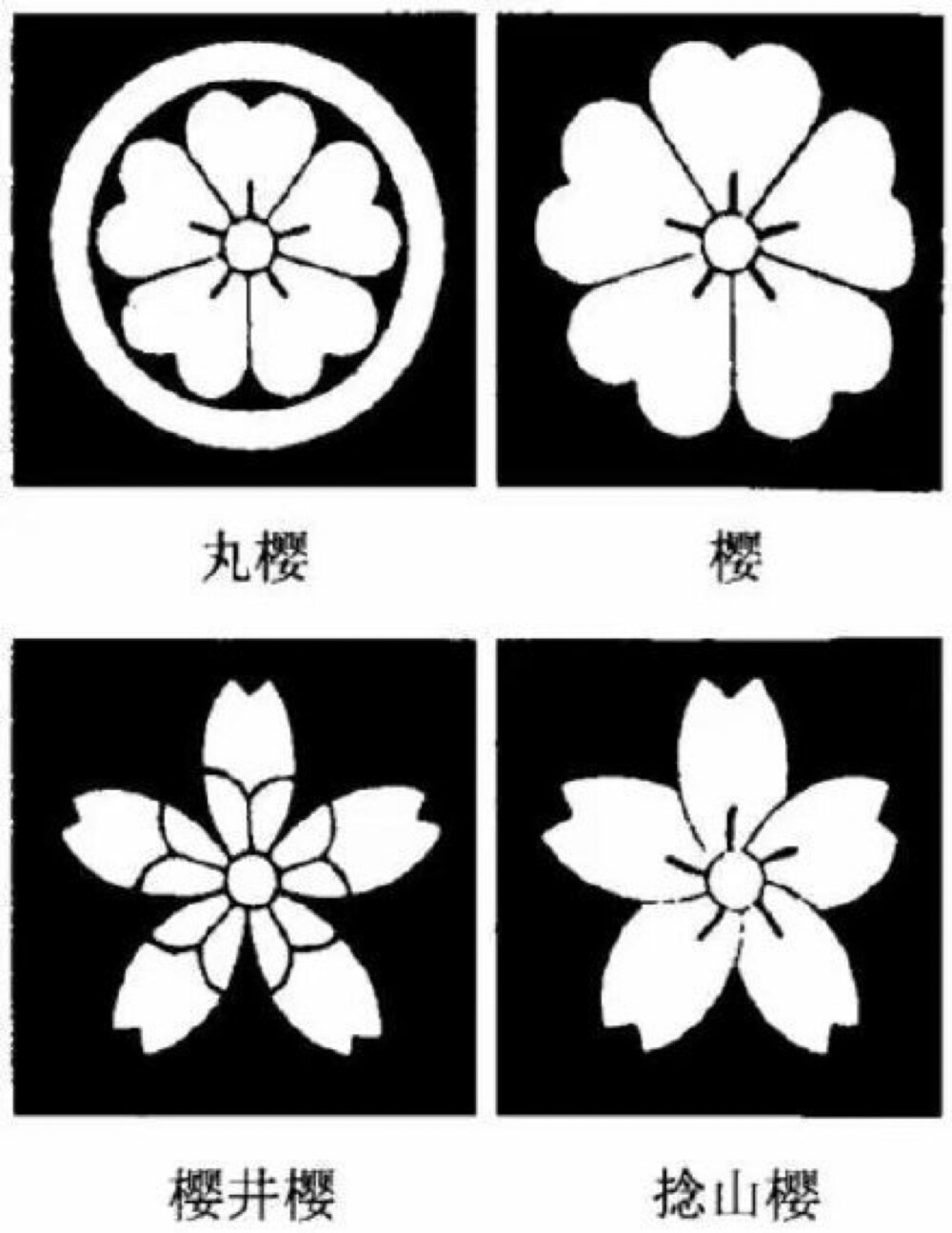 日本家纹——樱花纹