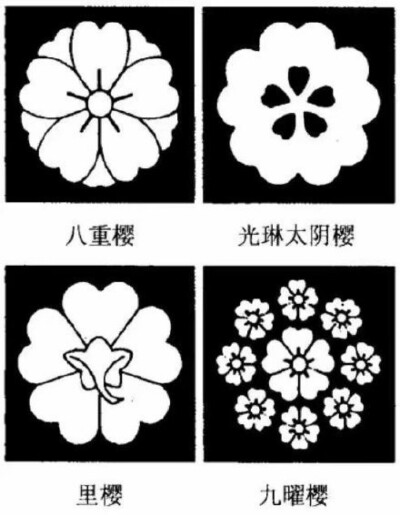 日本家纹——樱花纹