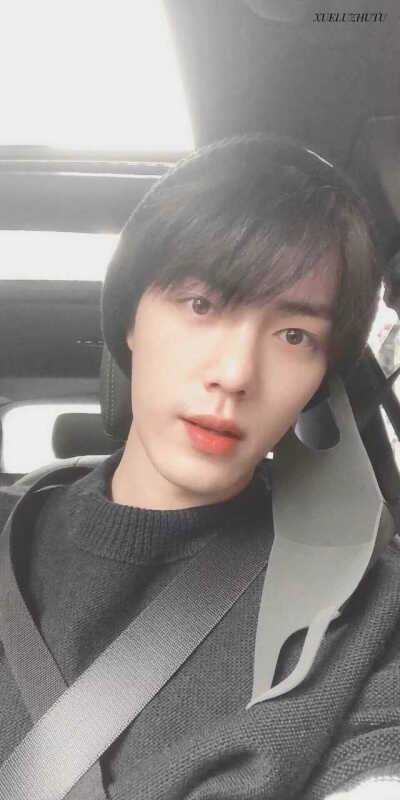 肖战哥哥的自拍照