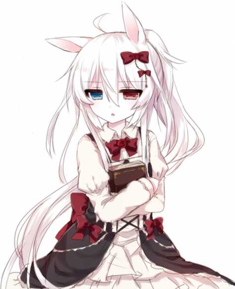 爱丽丝克罗地亚