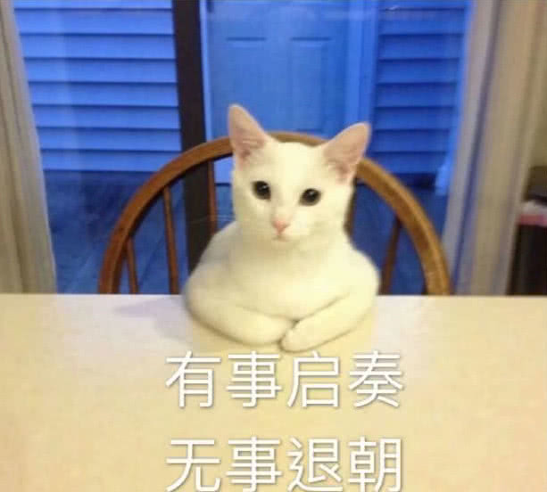 沙雕猫 表情包