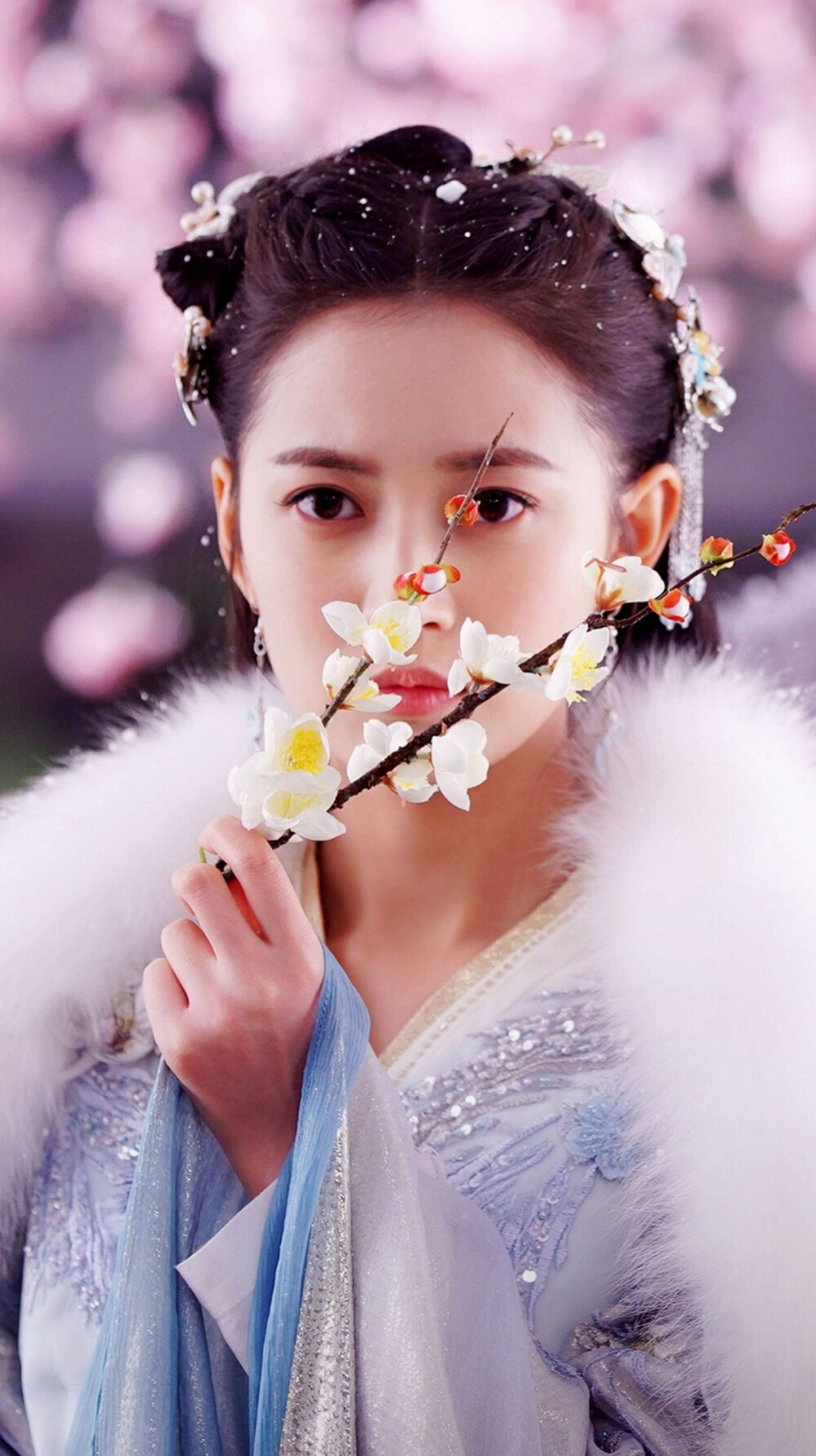 两世欢 风眠晚/原清离 陈钰琪