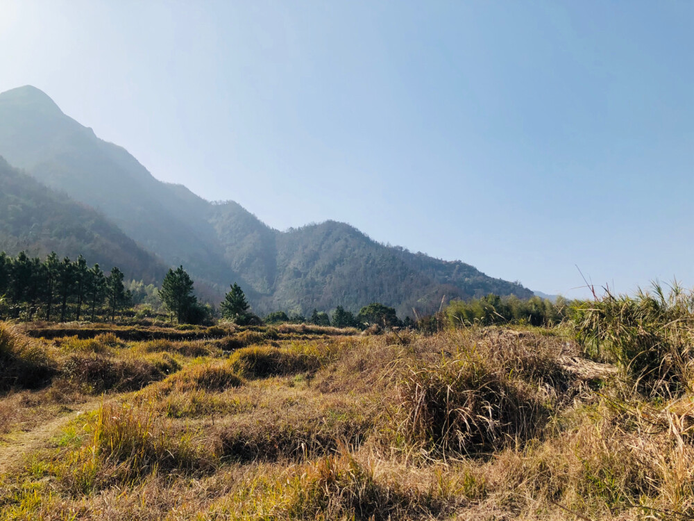 晴空下的后山1