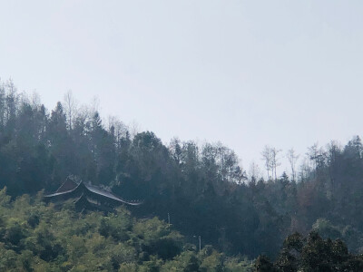 晴空下的后山1