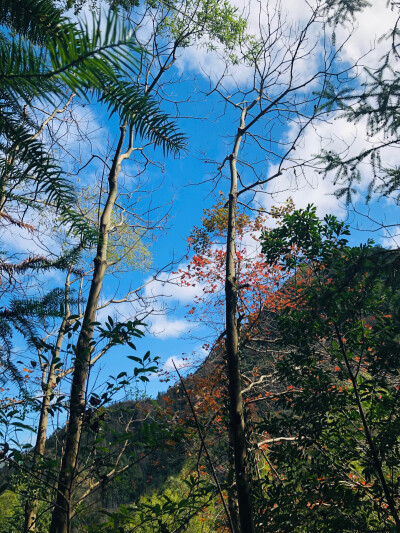 晴空下的后山3