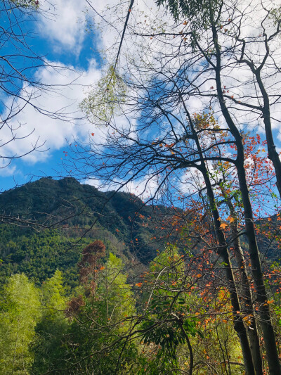 晴空下的后山3